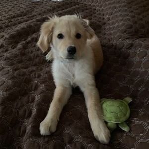 Fundraising Page: Mary Lou Ecken Kidd